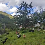 Szálloda Crusch Alba Sta Maria