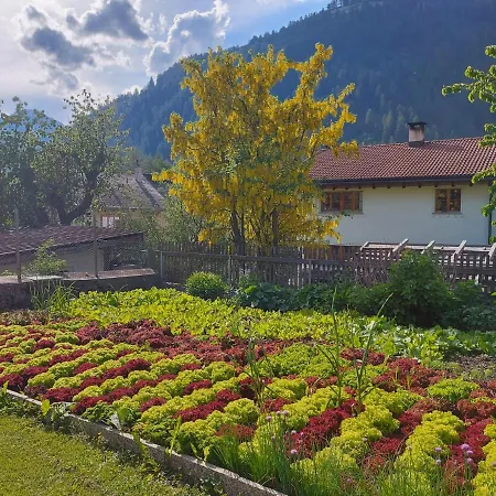 Crusch Alba Sta Maria 3* Santa Maria Val Muestair
