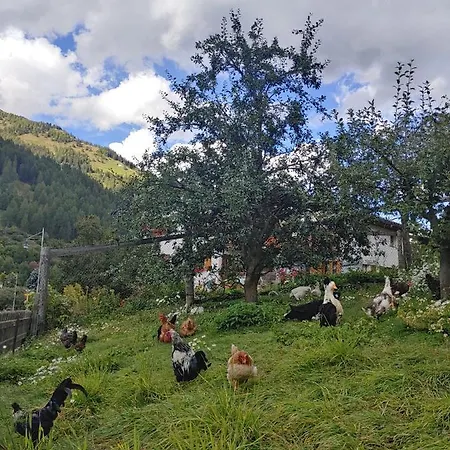 호텔 Crusch Alba Sta Maria