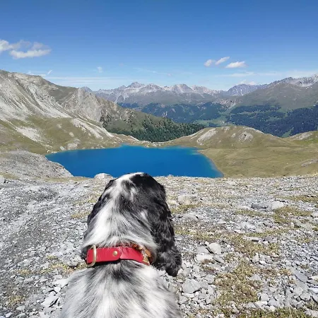 Szálloda Crusch Alba Sta Maria Sta Maria Val Müstair
