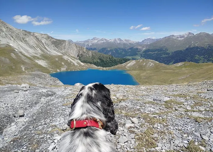 Szálloda Crusch Alba Sta Maria Sta Maria Val Müstair